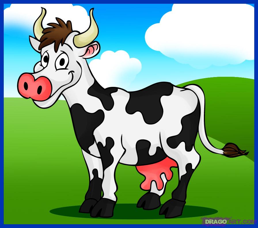 896x793 How To Draw A Cartoon Cow, Step - Cartoon Cow Drawing
