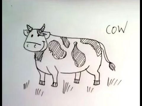 480x360 How To Draw A Cartoon Cow - Cartoon Cow Drawing