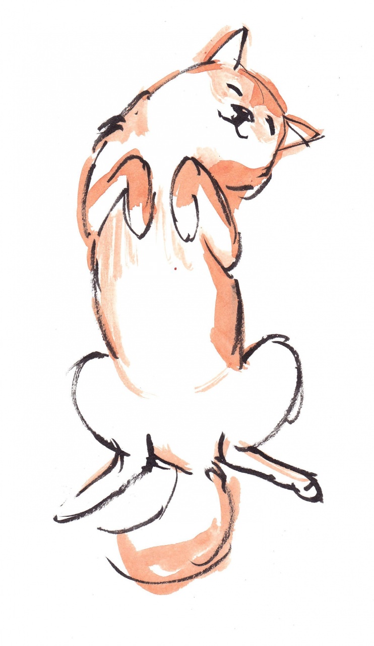 742x1280 cartoon dog drawing cute dog drawings tumblr gallery dogdrawing - Cartoon Dog Drawing