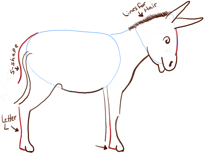 650x486 How To Draw Cartoon Donkeys Mules With Simple Steps Lesson How - Cartoon Donkey Drawing