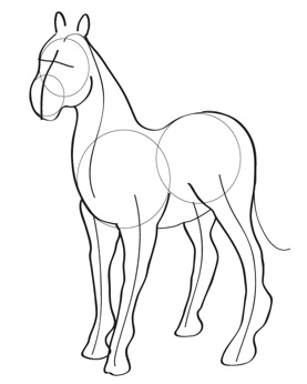 277x346 How To Draw A Horse Face Body Horse Step - Cartoon Drawing Horse