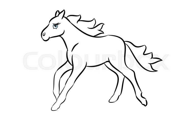 800x495 Cute Horse Cartoon Line Drawing On A Stock Vector Colourbox - Cartoon Drawing Horse