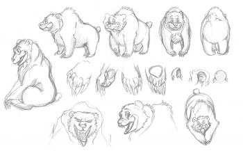 350x217 How To Draw A Cartoon Bear, Step - Cartoon Drawing Lessons