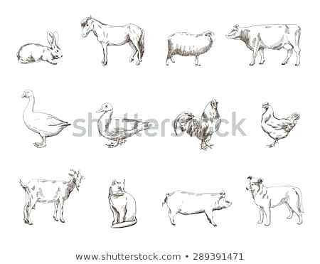 450x371 Drawings Of Farm Animals Srbijatrade Club - Cartoon Drawing Of A Farm