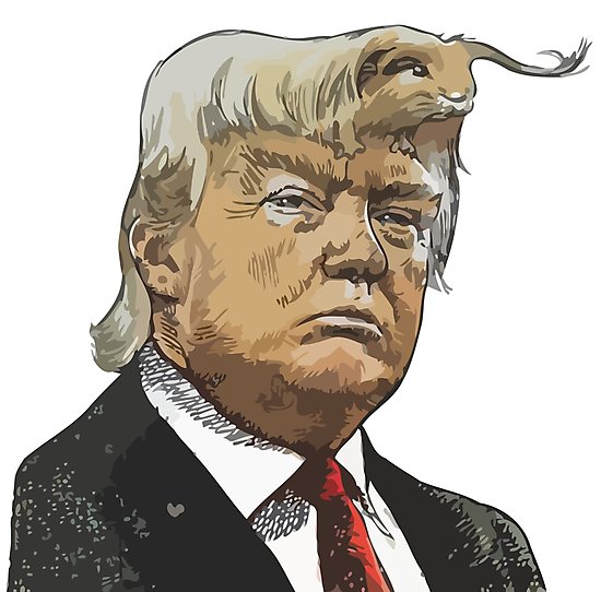 550x542 Donald Trump Cartoon Toon Drawing Funny Crazy Election - Cartoon Drawing Of Donald Trump