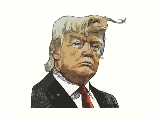 549x413 Donald Trump Cartoon Toon Drawing Funny Crazy Election Art Prints - Cartoon Drawing Of Donald Trump