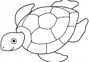 300x210 Easy To Draw Turtles Projects Idea Sea Turtle Cartoon Drawing - Cartoon Drawing Of Turtle