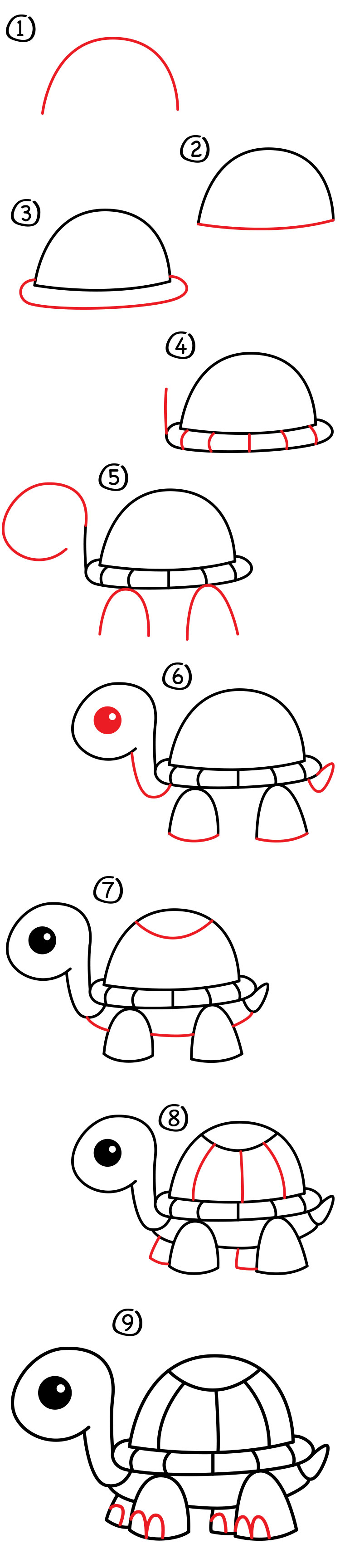 750x3458 How To Draw A Cartoon Turtle - Cartoon Drawing Of Turtle