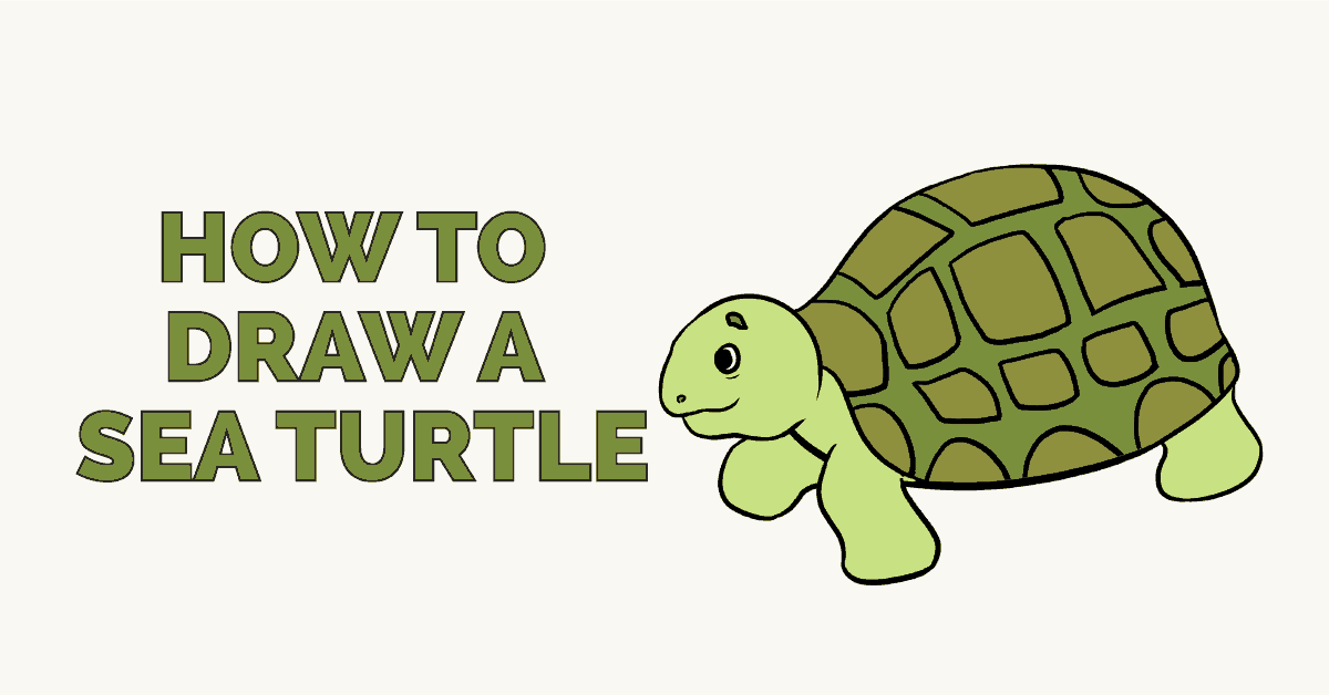 1200x628 How To Draw A Sea Turtle - Cartoon Drawing Of Turtle