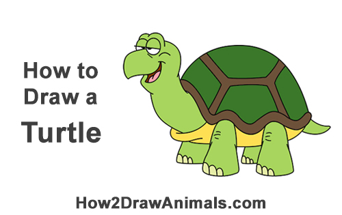 500x315 how to draw a turtle tortoise - Cartoon Drawing Of Turtle