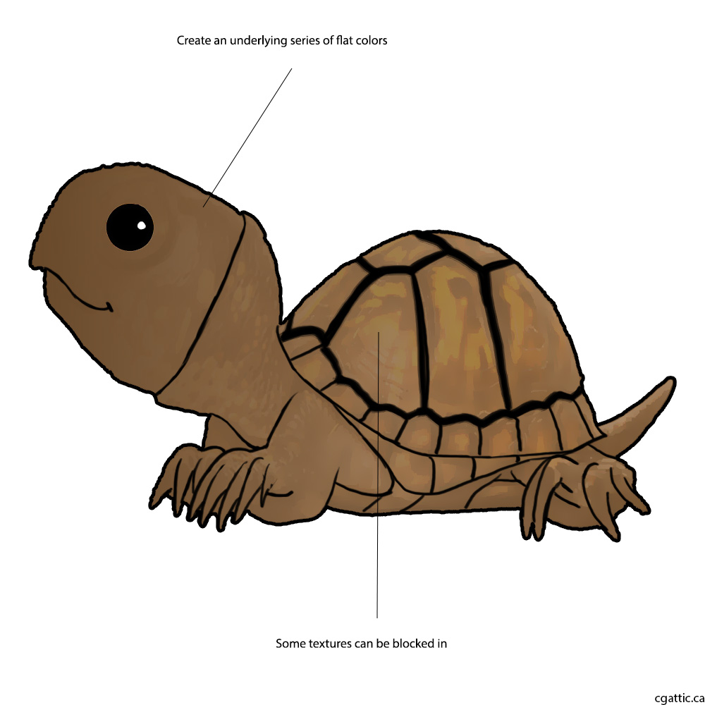 1000x1000 Turtle Cartoon Drawing In Steps With Photoshop - Cartoon Drawing Of Turtle