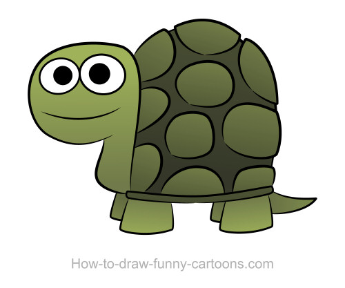 500x417 Turtle Drawings - Cartoon Drawing Of Turtle