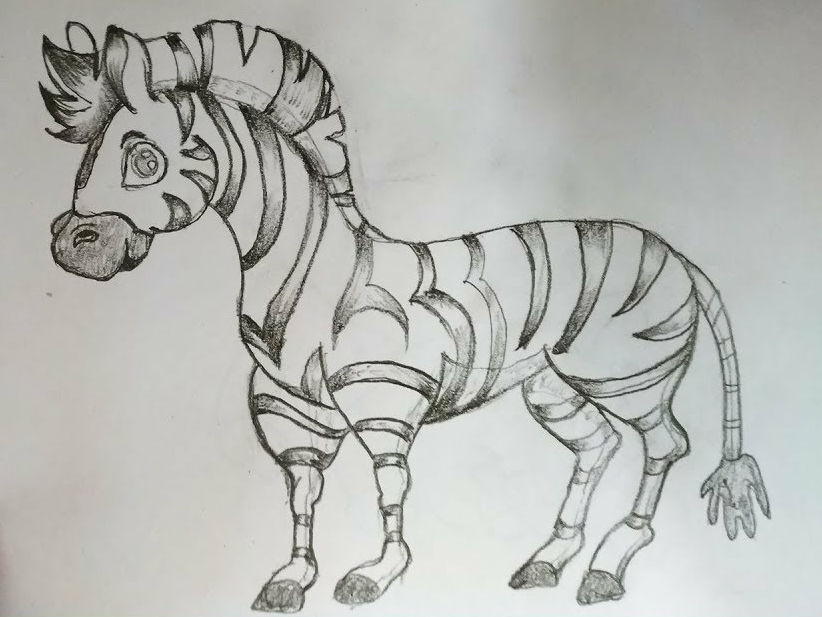 822x617 Cartoon Zebra Drawing - Cartoon Drawing Pencil