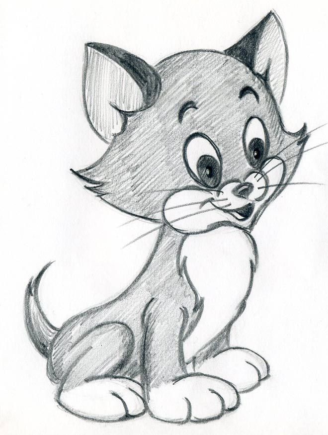 660x875 how to draw cartoon kitten easily and effortlessly in few simple - Cartoon Drawing Photos