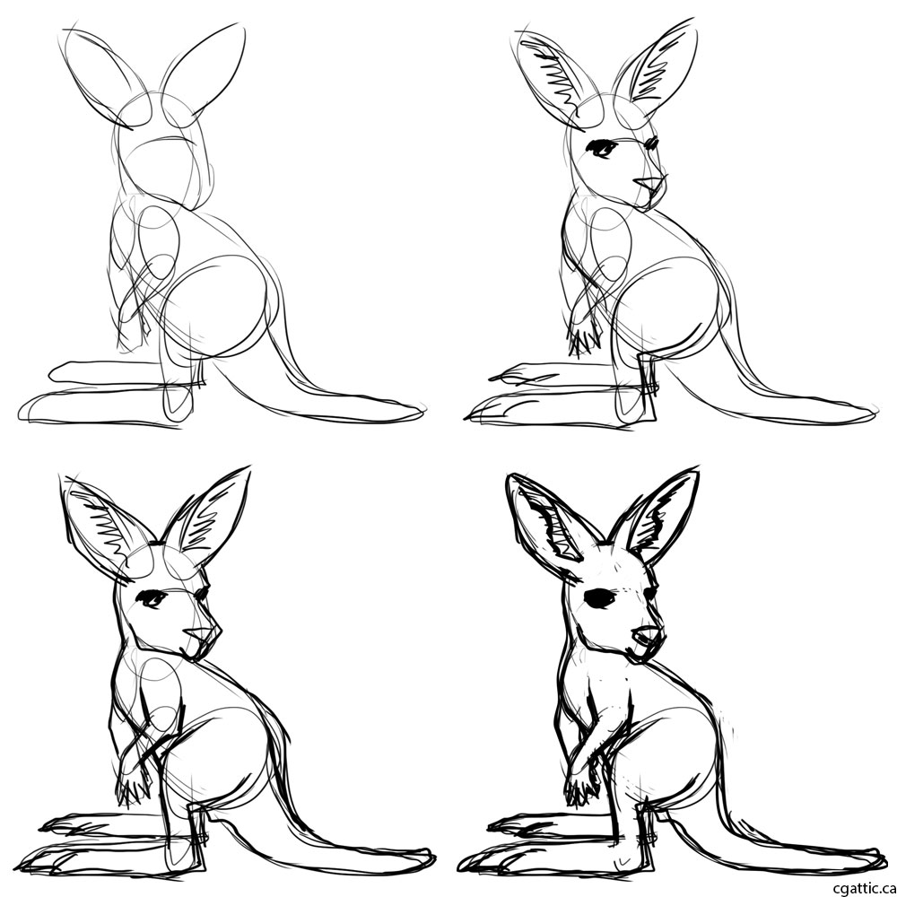 1000x1000 Kangaroo Cartoon Drawing In Steps With Photoshop - Cartoon Ear Drawing