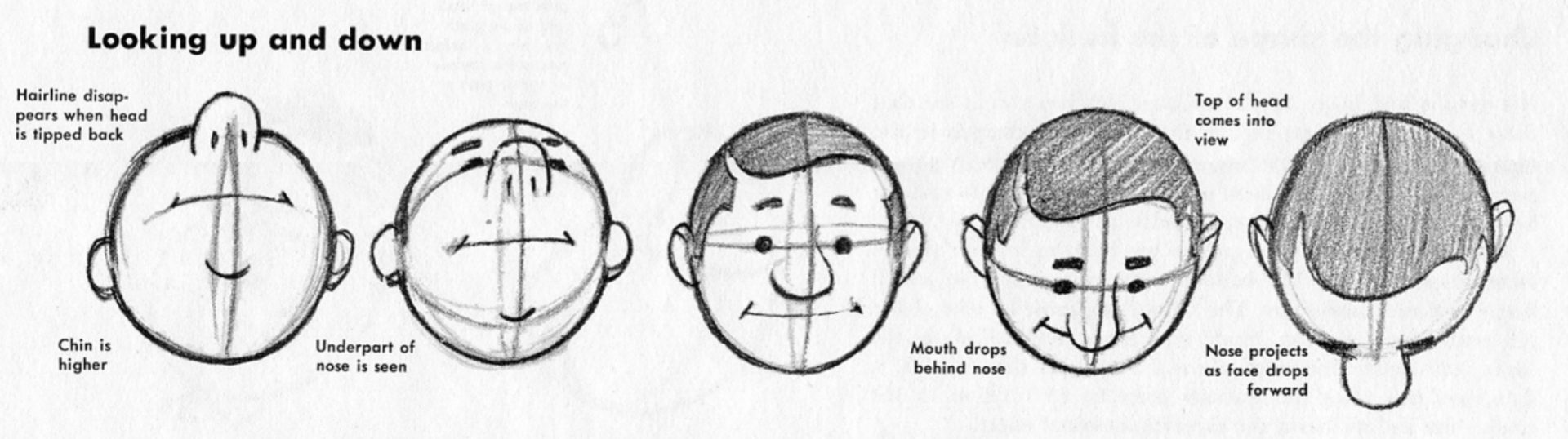 1920x538 Learn To Draw Cartoons Lesson The Comic Head - Cartoon Ear Drawing
