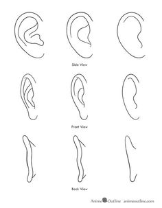 Cartoon Ear Drawing at PaintingValley.com | Explore collection of ...