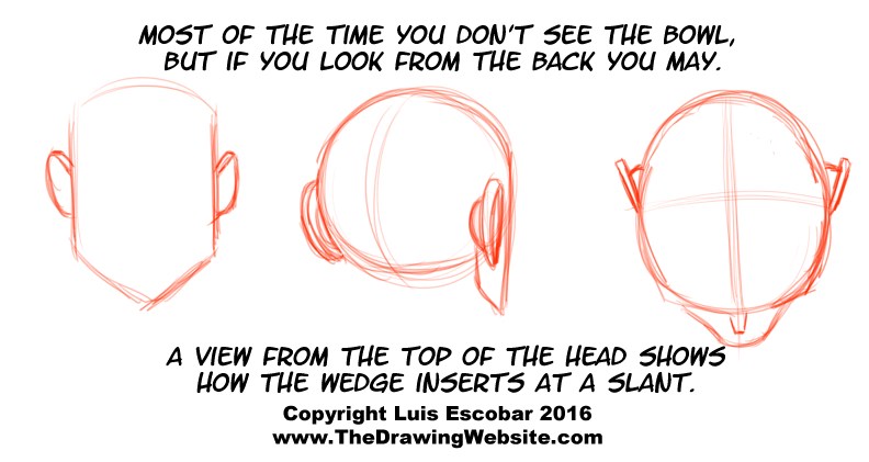 792x421 Cartoon Ear Formula The Drawing Website - Cartoon Ear Drawing