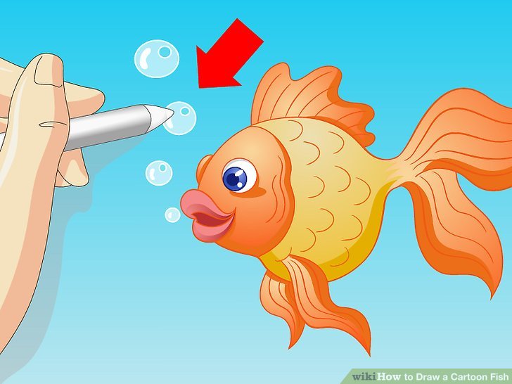 728x546 How To Draw A Cartoon Fish Steps - Cartoon Fish Drawing