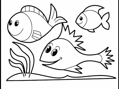 480x360 How To Draw A Cartoon Fish Cute And Easy - Cartoon Fish Drawing