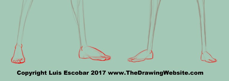 764x270 cartoon feet formulathe drawing website the drawing website - Cartoon Foot Drawing
