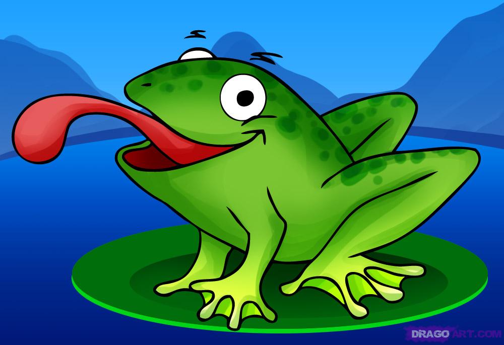 1000x685 How To Draw A Cartoon Frog, Step - Cartoon Frog Drawing