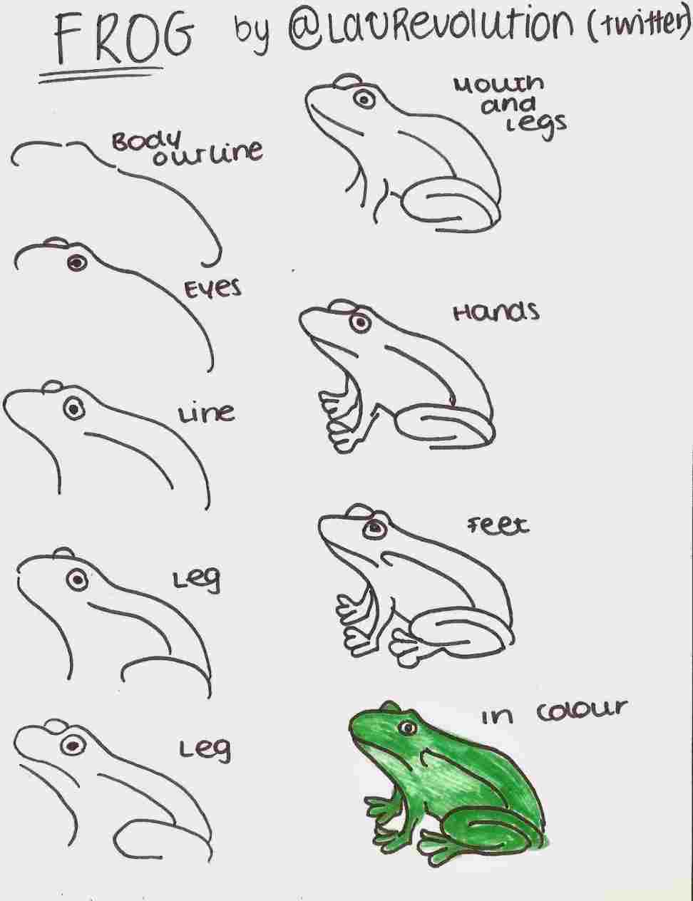 972x1264 Easy Cartoon Frog Drawing - Cartoon Frog Drawing