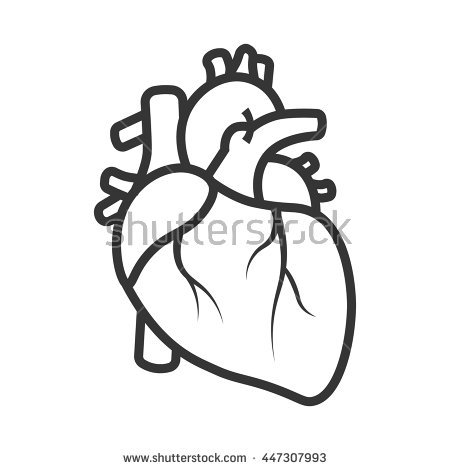 450x470 Picture Of Cartoon Heart Group With Items - Cartoon Heart Drawing