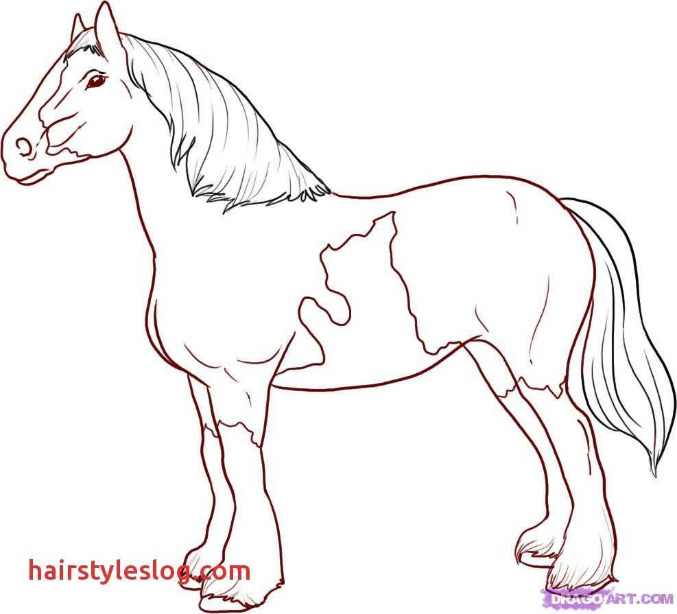 987x895 Easy Horses To Draw A Cartoon Horse Head Drawing At Getdrawings - Cartoon Horse Drawing