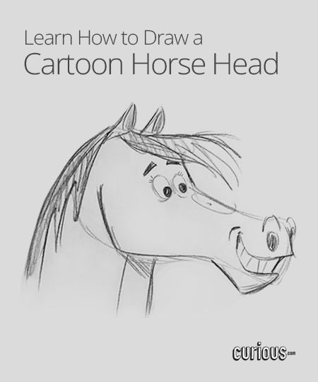 450x540 How To Draw A Cartoon Horse Head Share Today's Craft And Diy - Cartoon Horse Drawing