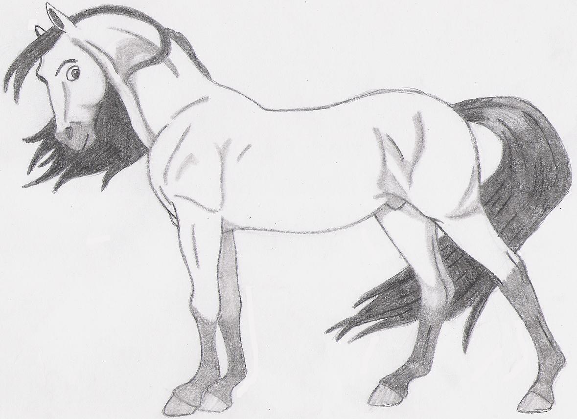 Cartoon Horse Drawing - Cartoon Horse Drawing. 