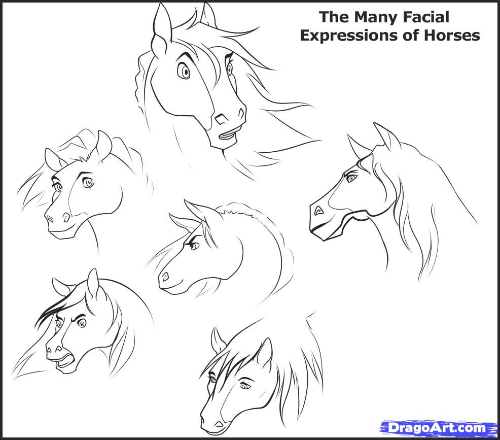 986x867 draw cartoon horse head draw horse heads, stepstep, drawing sheets - Cartoon Horse Head Drawing