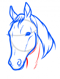 228x302 Draw Horse Heads And Faces, Step - Cartoon Horse Head Drawing