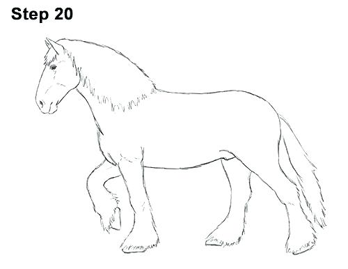 500x386 how to draw a horse feat how to draw a horse in addition to draw - Cartoon Horse Head Drawing
