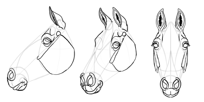 700x353 How To Draw Horses Step - Cartoon Horse Head Drawing