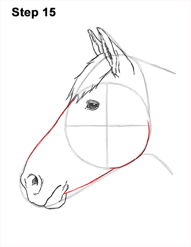 386x500 How To Draw A Horse - Cartoon Horse Head Drawing