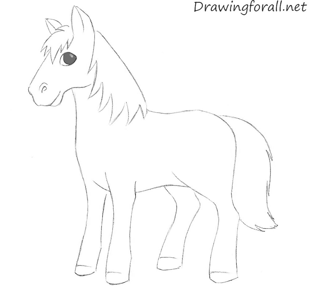 1000x936 draw a cartoon horse head how to draw a cartoon horse - Cartoon Horse Head Drawing