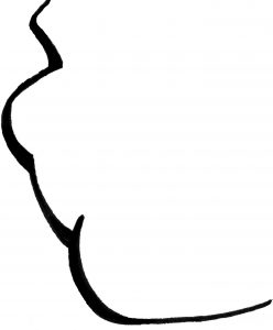 248x300 how to draw a cartoon of everyone you know - Cartoon Line Drawing