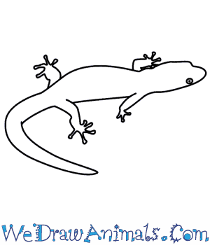 300x350 How Do You Draw A Lizard Step - Cartoon Lizard Drawing