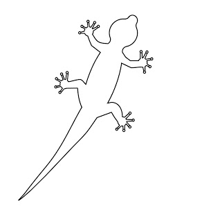 318x320 How To Draw Cartoons Gecko - Cartoon Lizard Drawing