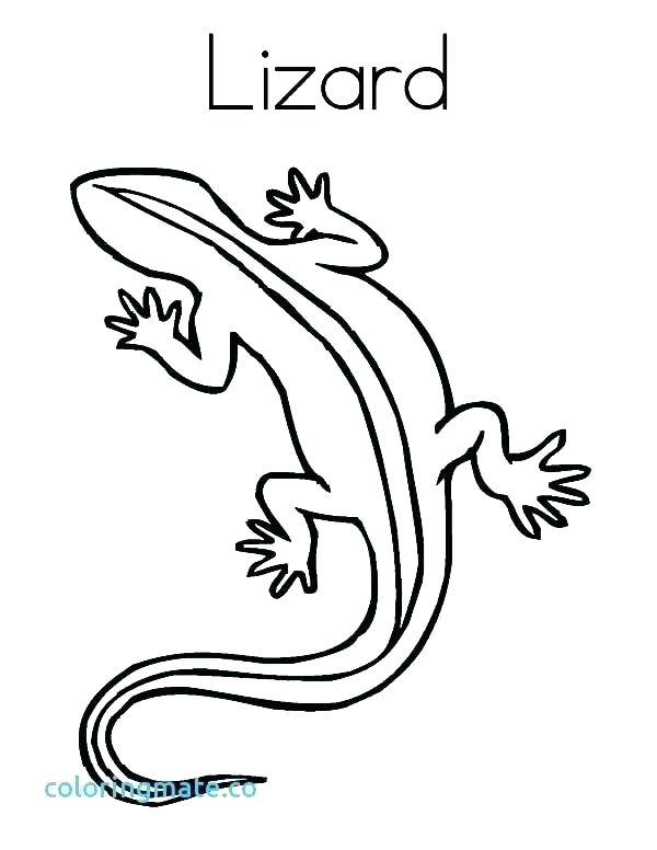 600x776 lizard coloring pages lizard coloring - Cartoon Lizard Drawing