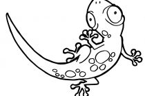 210x140 Tag Easy Cartoon Lizard Drawing - Cartoon Lizard Drawing
