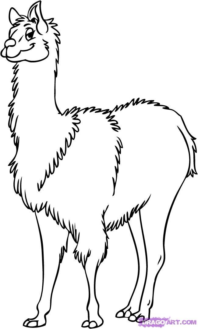 650x1077 how to draw a cartoon llama, step - Cartoon Llama Drawing
