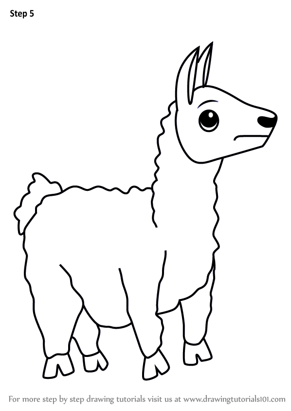 598x844 learn how to draw a cartoon llama - Cartoon Llama Drawing