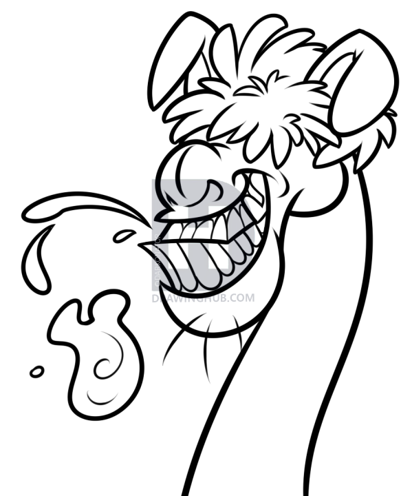 599x720 draw a cartoon llama, step - Cartoon Llama Drawing