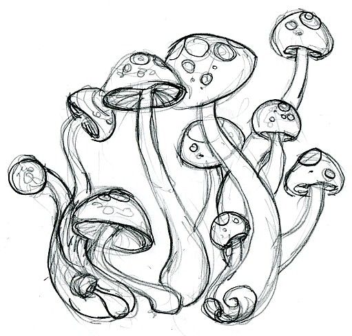 511x488 Huge Collection Of 'mushroom Cartoon Drawing' Download More Than - Cartoon Mushroom Drawing