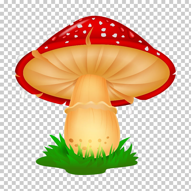728x728 mushroom drawing cartoon illustration, mushroom,fungus, red - Cartoon Mushroom Drawing