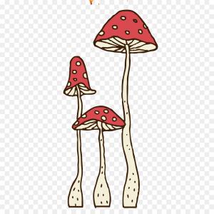300x300 png cartoon drawing mushroom vector art mushrooms soidergi - Cartoon Mushroom Drawing