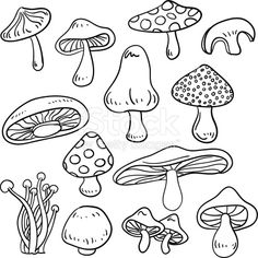 236x236 cartoon mushroom coloring pages how to draw mushrooms step - Cartoon Mushroom Drawing