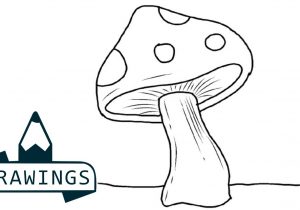 300x210 drawing a mushroom cartoon mushroom drawing at getdrawings free - Cartoon Mushroom Drawing